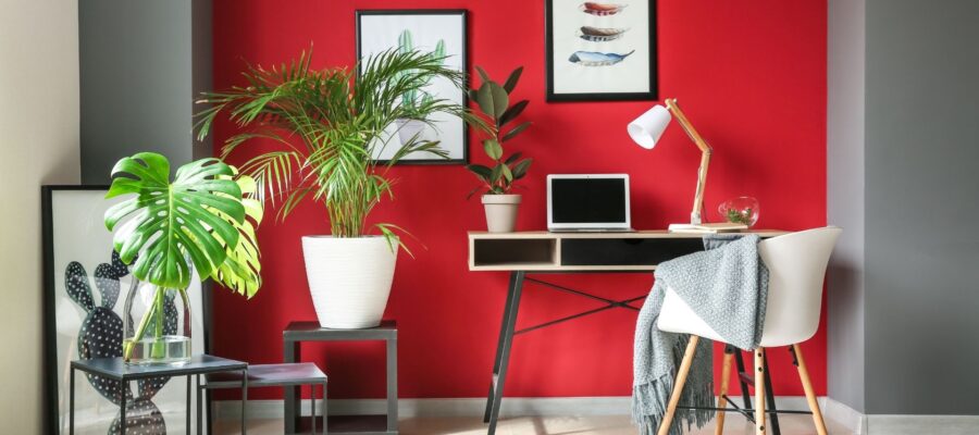 Luz verde por roja: las mejores combinaciones para el hogar.