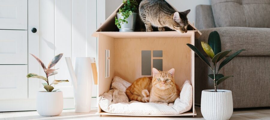 MUEBLES PARA EL HOGAR A MEDIDA POR ANIM.