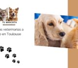 Consultas veterinarias a domicilio en Toulouse