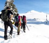 Cheaper equipment for easy excursions in winter