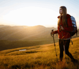 Softshell – What is it, what properties does it have, what to look at when you buy?