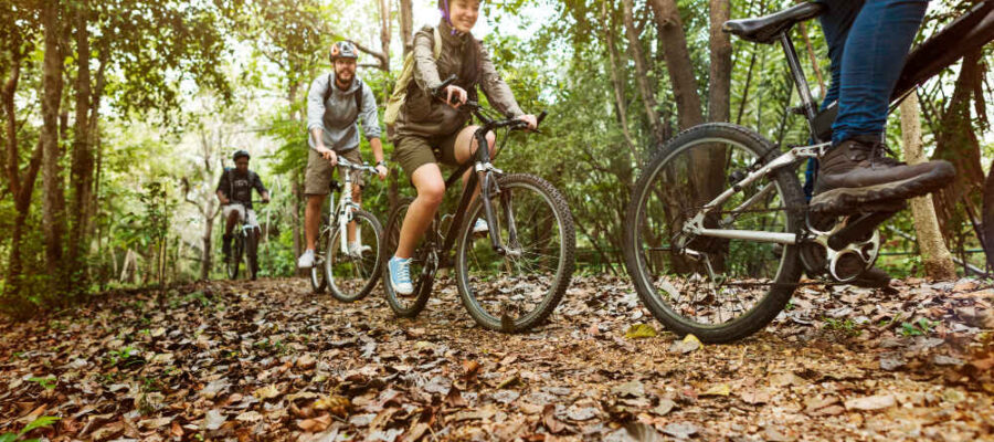 Best excursions and mountain bikes in Saint-Genival