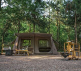 Brown friends and clean air: a camping guide