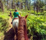 9 Tips to prepare your horse trip – home blog