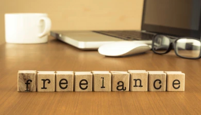 Freelance - Negocio de ganancias mensuales de 1 lakh